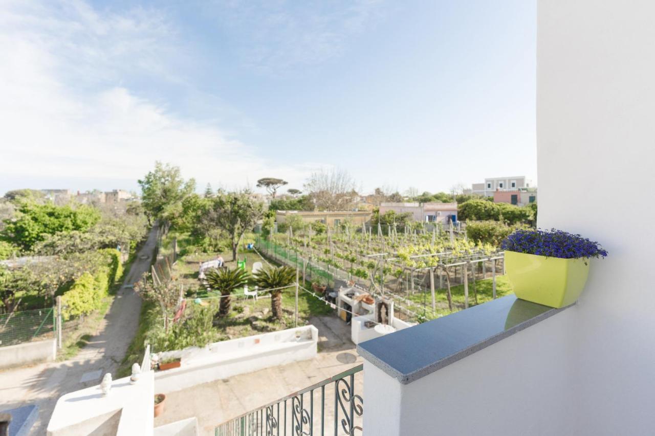 Green Island Apartment Procida Exterior foto